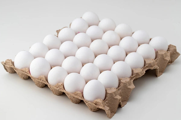 Egg Hvite L-30