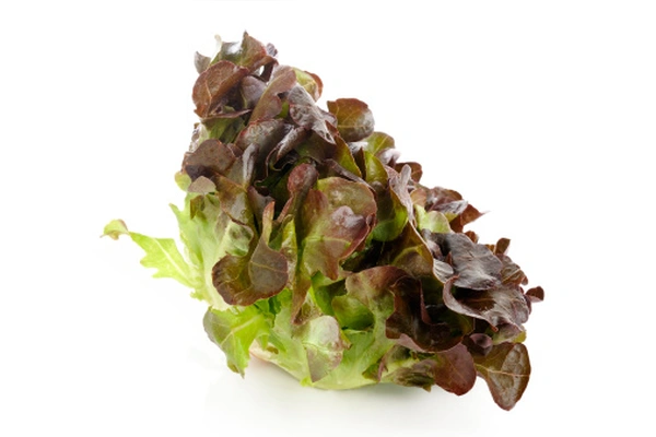 Salat Ekeblad Rød Løs