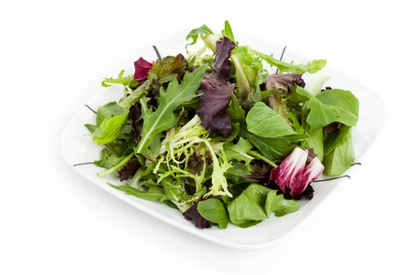 Salat Elstøen Mix