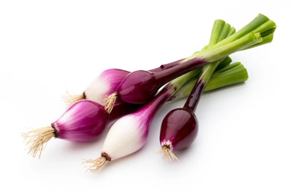 Løk i bunt rød