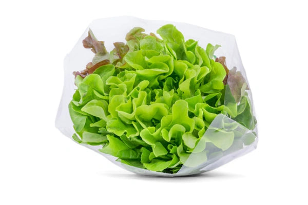 Salat Ekeblad Grønn