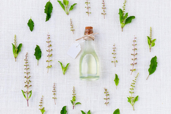 Spices and Herbs