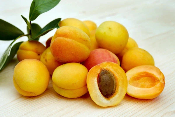 Stone Fruits