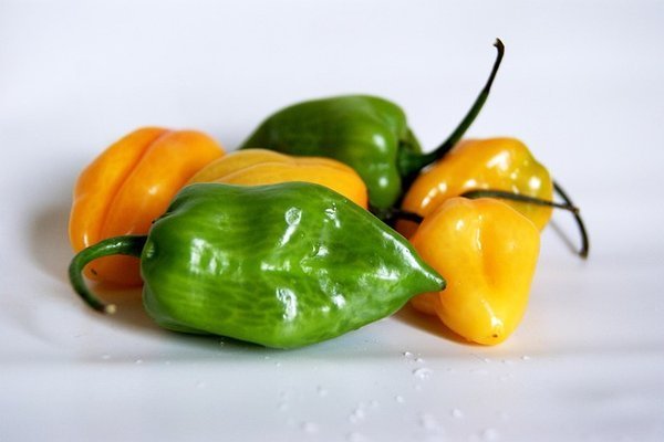 Chili Habanero Gul 2kg