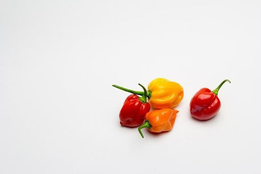 Chili Habanero Rød 2kg