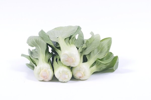 Pac Choi