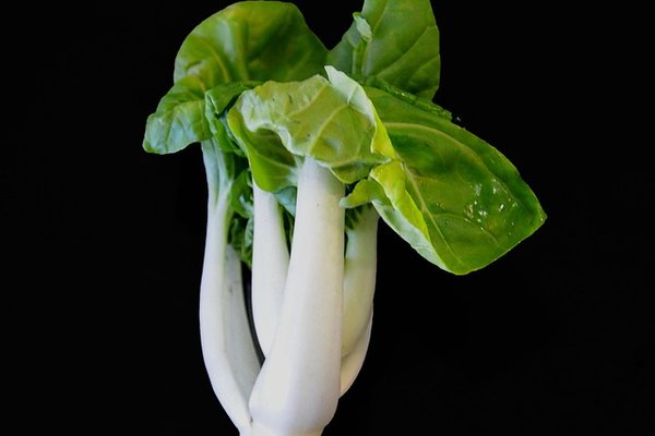 Pac Choi Mini
