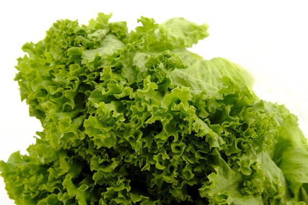 Salat Isberg Norsk