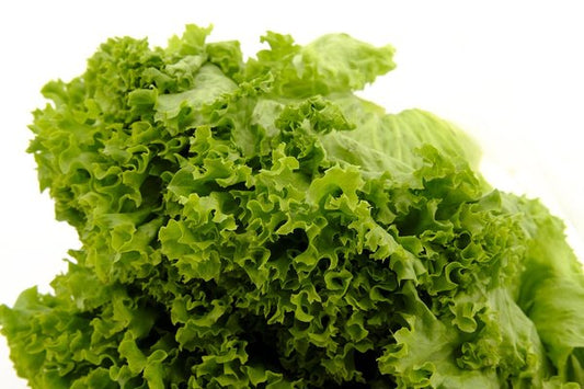 Salat Isberg Norsk