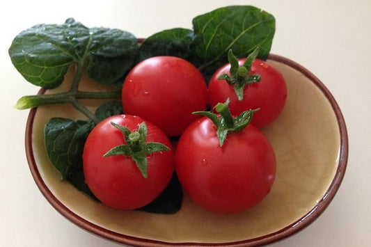 Tomat Bliss 3kg