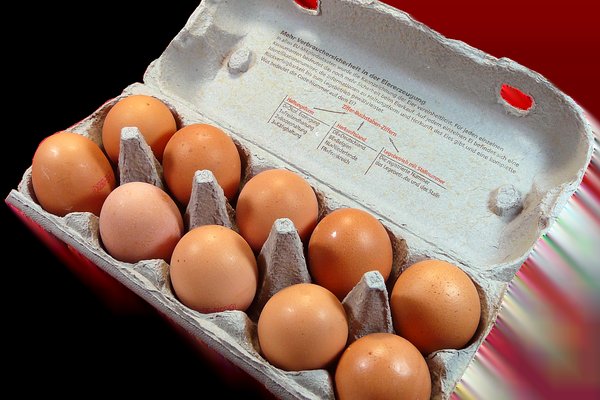 Egg BRUNE